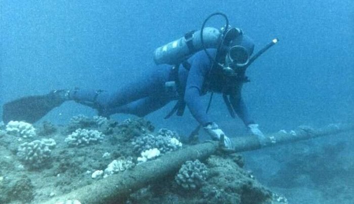 3816716741_4fe8d79207_c