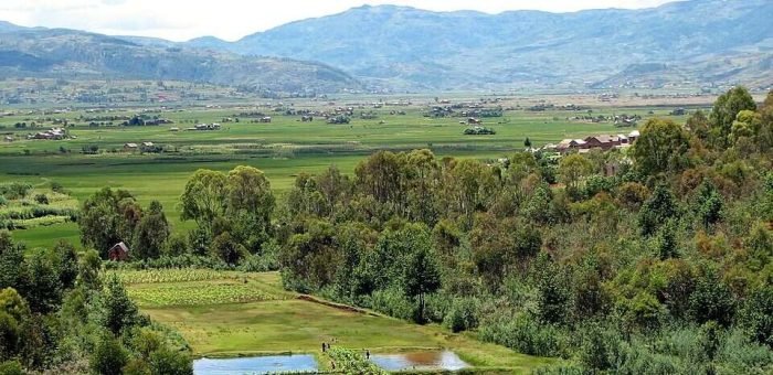 960px-Landscape_Madagascar_03